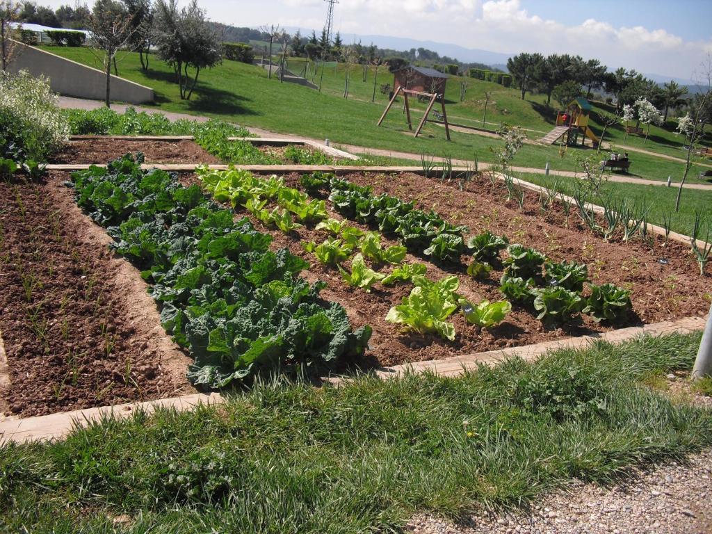 Vilar Rural De Cardona Exterior photo